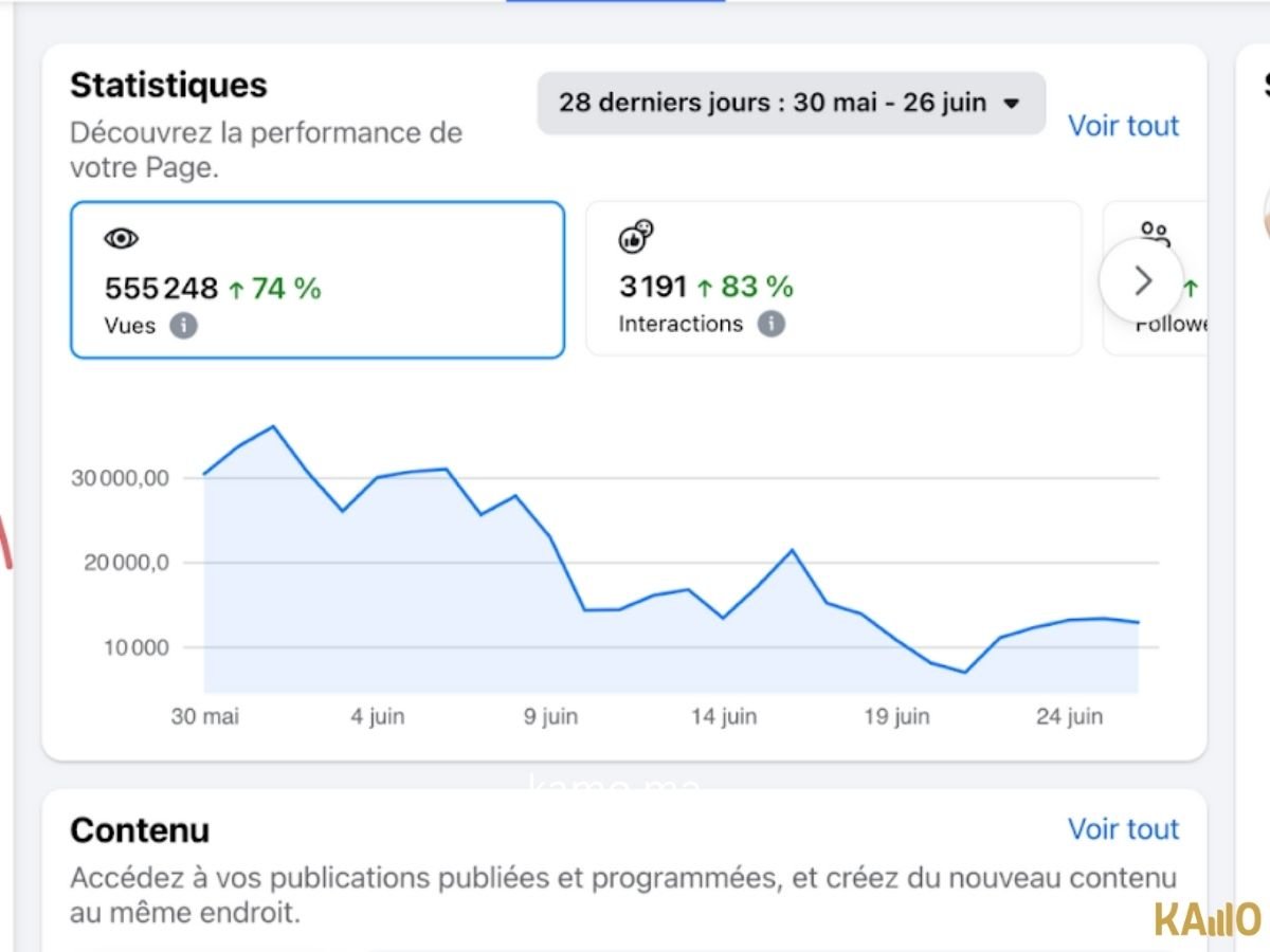 Projet — Campagne Meta